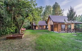 Zagajnik Białowieża